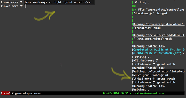 tmux command